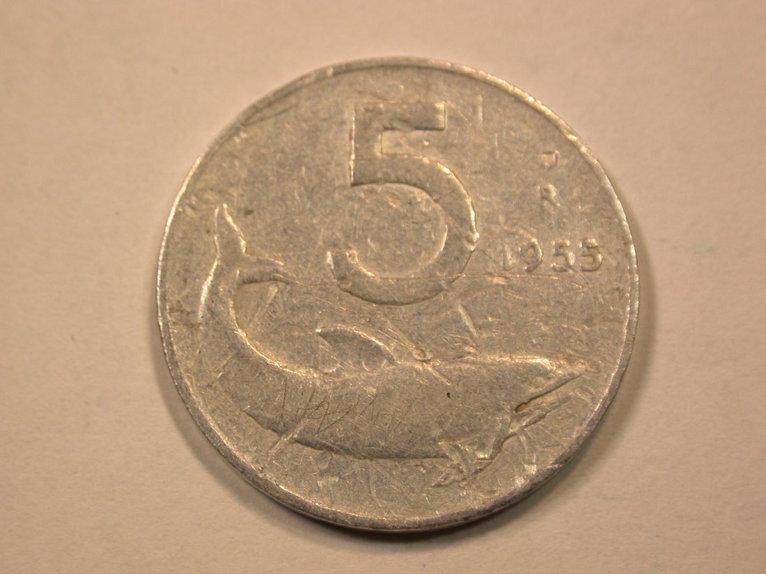  E21  Italien  5 Lire 1955 in ss   Originalbilder   