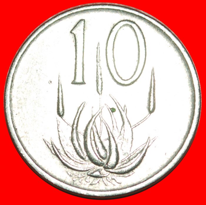  · ALOE: SOUTH AFRICA ★ 10 CENTS 1972! LOW START ★ NO RESERVE!   