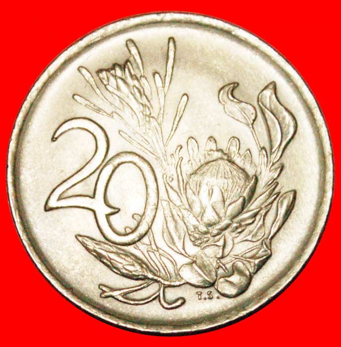  · PROTEA FLOWER: SOUTH AFRICA ★ 20 CENTS 1977! LOW START ★ NO RESERVE!   