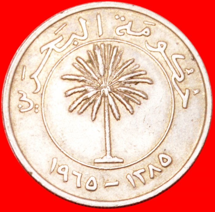  ·​​​​​​​​​​​​​​ PALM ★ BAHRAIN★ 100 FILS 1965! LOW START ★ NO RESERVE!   