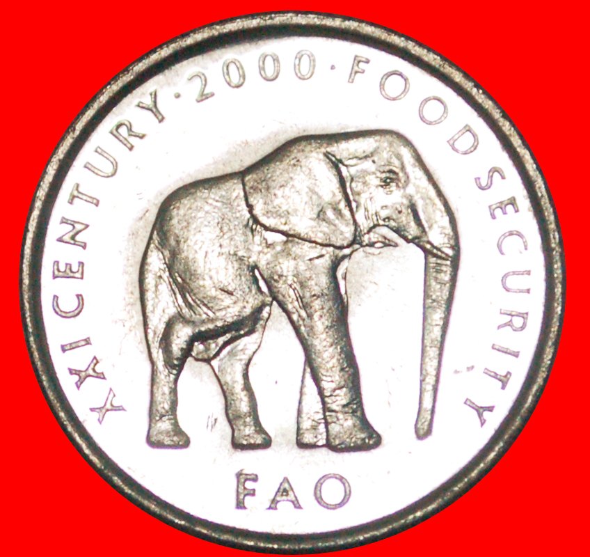  · ELEPHANT (1999-2002): SOMALIA ★ 5 SHILLINGS 2000 MINT LUSTER! LOW START ★ NO RESERVE!   