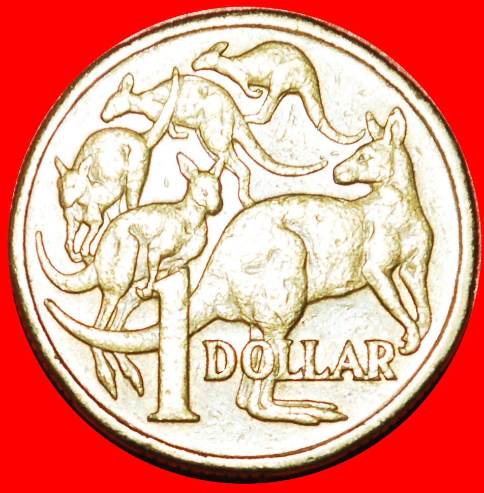  * 5 KÄNGURUS: AUSTRALIEN ★ 1 DOLLAR 1984! JAHR = TYP! OHNE VORBEHALT!   