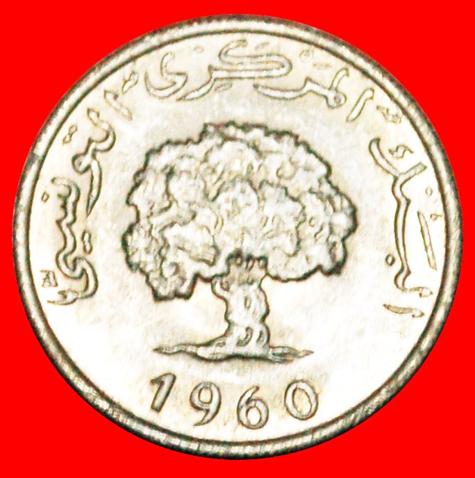  · OAK TREE: TUNISIA ★ 1 MILLIEME 1960 MINT LUSTER! LOW START! ★ NO RESERVE!   