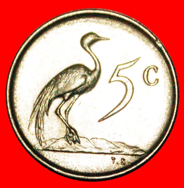 • ENGLISCHE LEGENDE (1965-1969): SÜDAFRIKA ★ 5 CENTS 1965! uSTG STEMPELGLANZ! OHNE VORBEHALT!