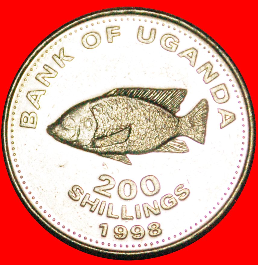  · FISH (1998-2003): UGANDA ★ 200 SHILLINGS 1998! MINT LUSTER! LOW START★ NO RESERVE!   