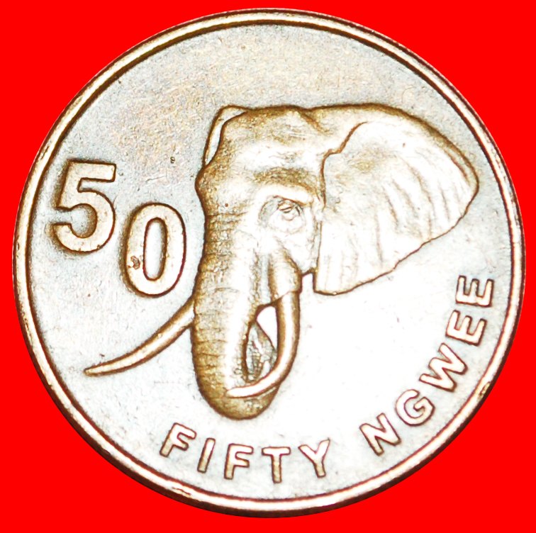  · ELEPHANT (2012-2017): ZAMBIA ★ 50 NGWEE 2012! LOW START★ NO RESERVE!   