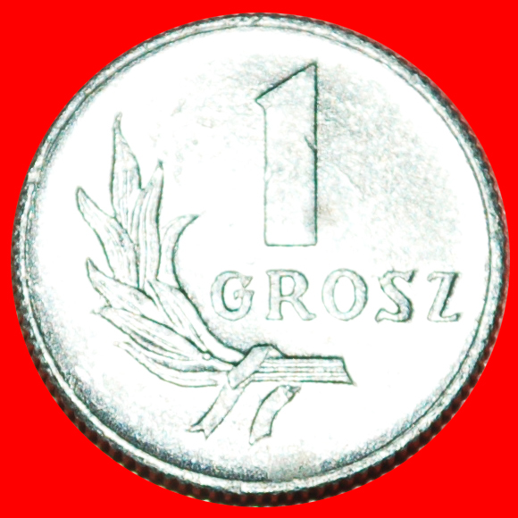  · STARS ON EAGLE: POLAND ★ 1 GROSZ 1949  MINT LUSTER! LOW START ★ NO RESERVE!   