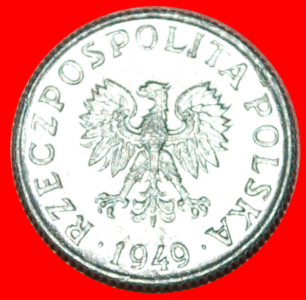  · STARS ON EAGLE: POLAND ★ 1 GROSZ 1949  MINT LUSTER! LOW START ★ NO RESERVE!   