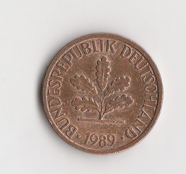  1 Pfennig 1989 D (M210)   