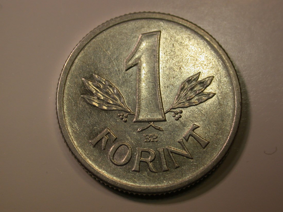 E27 Ungarn 1 Forint 1973 in vz Originalbilder