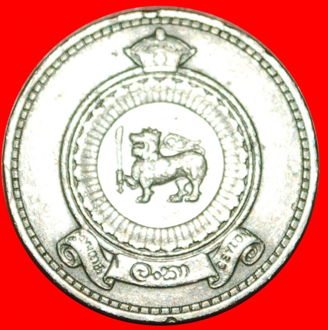  • BRITISH COMMONWEALTH LION: CEYLON ★ 50 CENTS 1963! LOW START ★ NO RESERVE!   