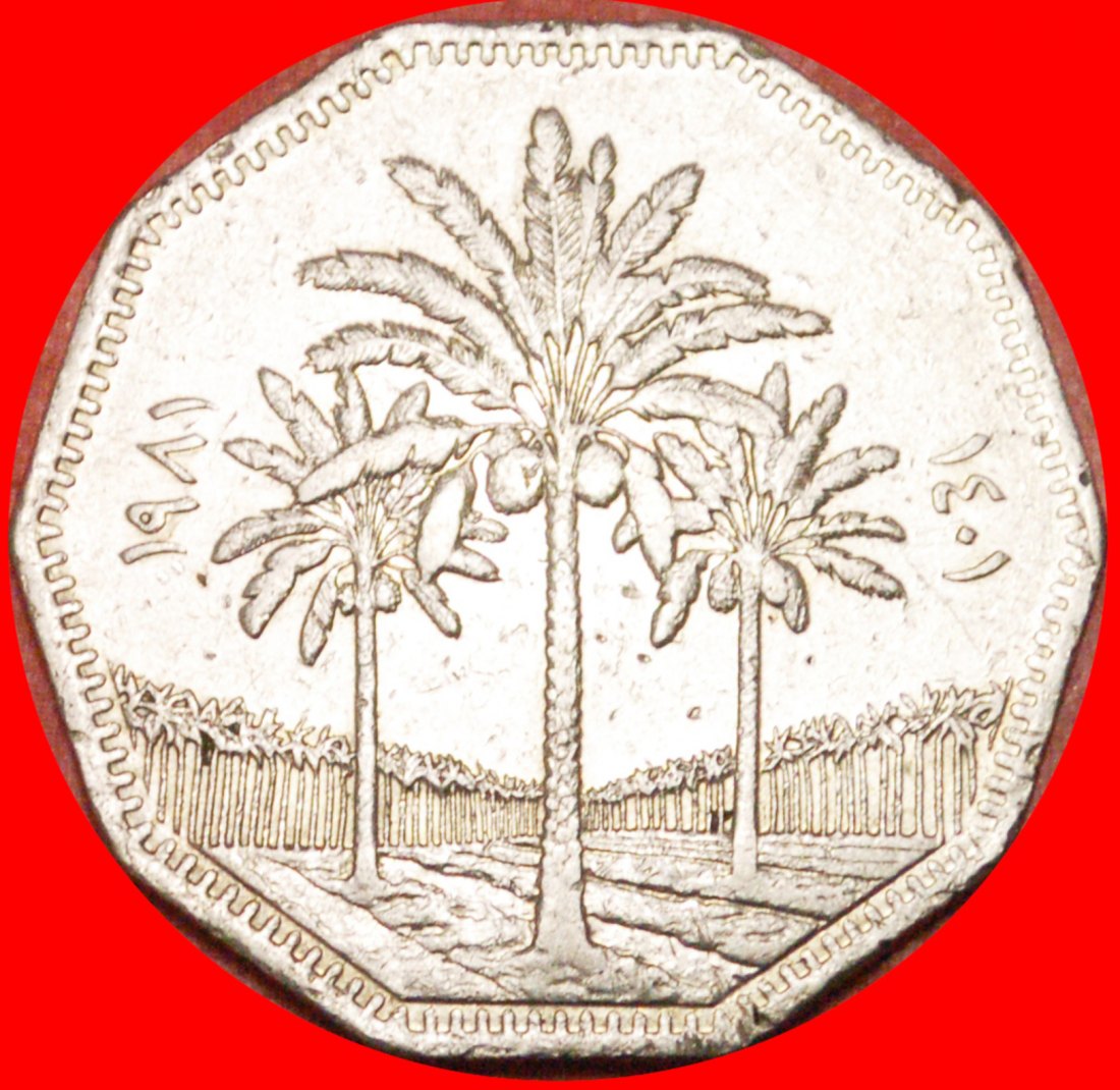  • PALMTREES: IRAQ ★ 1 DINAR 1401-1981! LOW START ★ NO RESERVE!   