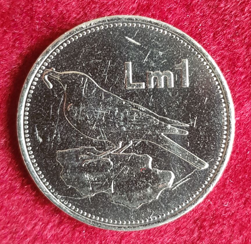 14341(4) 1 Lira (Malta / Felsendrossel) 2005 in unc- .............................. von Berlin_coins