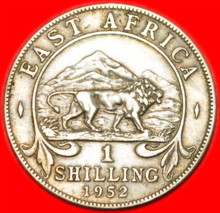  * GREAT BRITAIN LION★ EAST AFRICA 1 SHILLING 1952! George VI (1937-1952) LOW START★ NO RESERVE!   