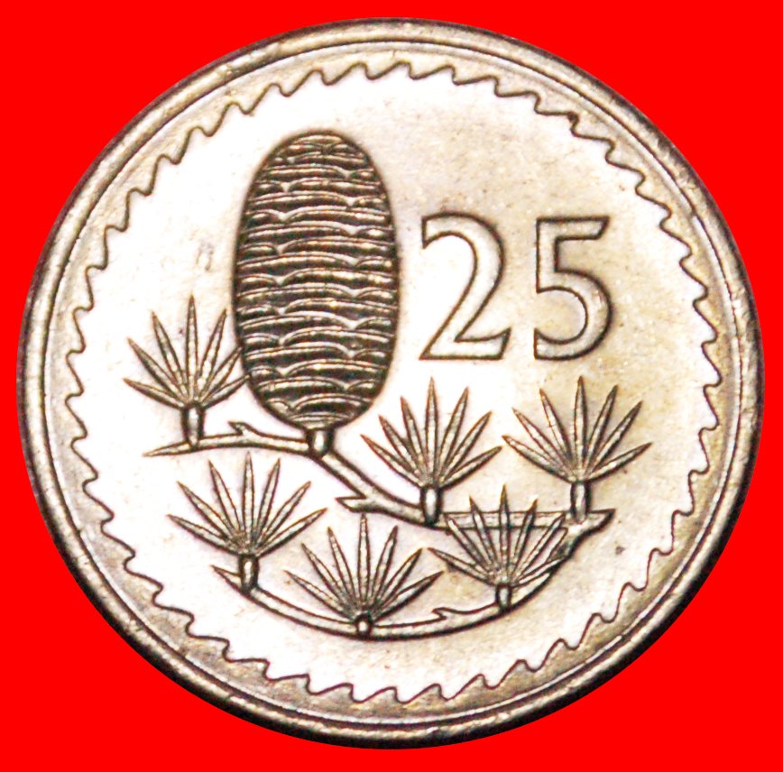  • CEDAR of LEBANON: CYPRUS ★ 25 MILS 1974 MINT LUSTER! LOW START ★ NO RESERVE!   