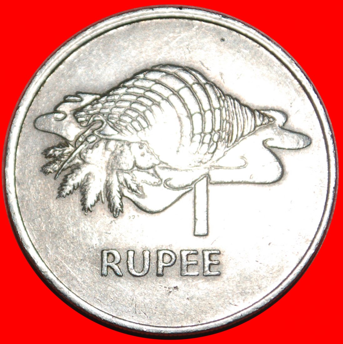  • TRITON SHELL and SHIP: SEYCHELLES ★ 1 RUPEE 1977! LOW START★ NO RESERVE!   