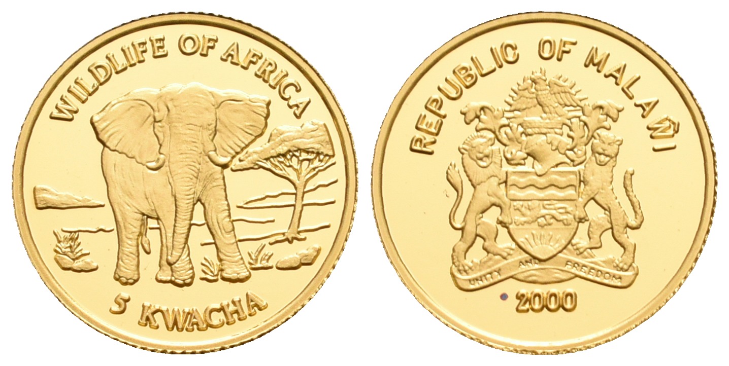 PEUS 5603 Malawi 1,24 g Feingold. Afrikanischer Elefant 5 Kwacha GOLD 2000 Proof (Kapsel)