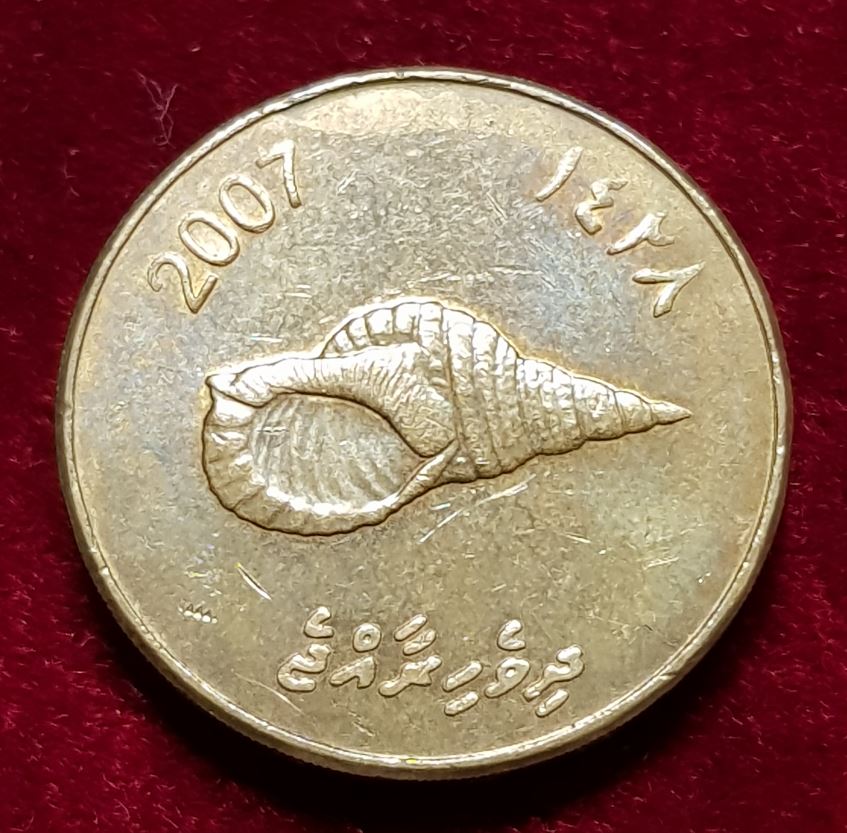  13245(10) 2 Rufiyaa (Malediven / Tritonshorn-Schnecke) 2007 in vz ................. von Berlin_coins   