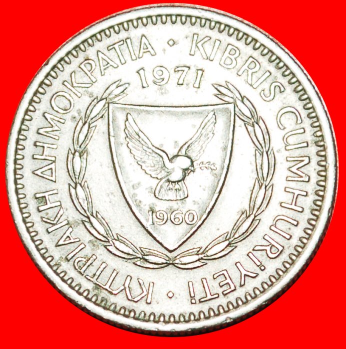  • ZEDER VON LIBANON: ZYPERN ★ 25 MILS 1971! OHNE VORBEHALT!   