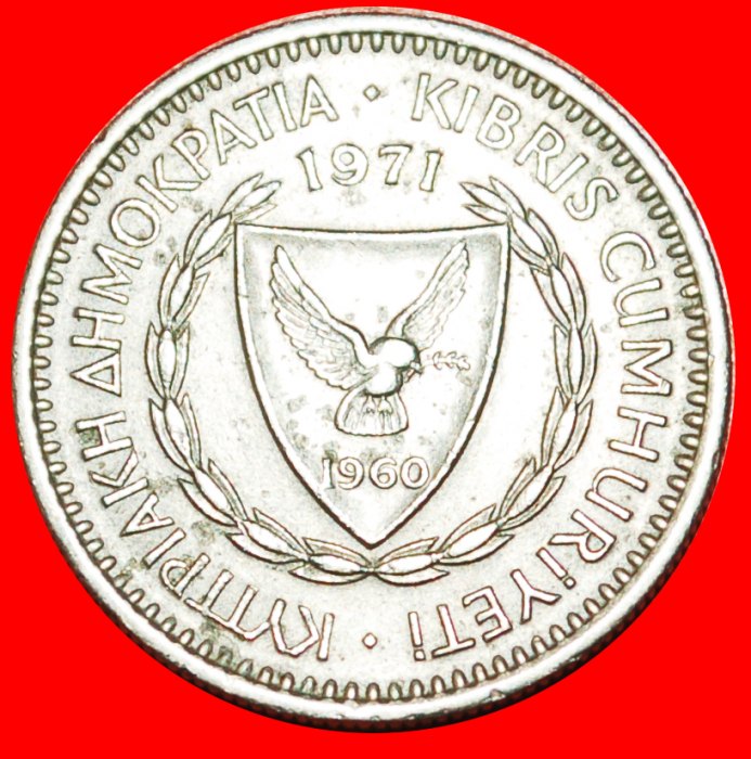  • CEDAR of LEBANON: CYPRUS ★ 25 MILS 1971!  LOW START ★ NO RESERVE!   