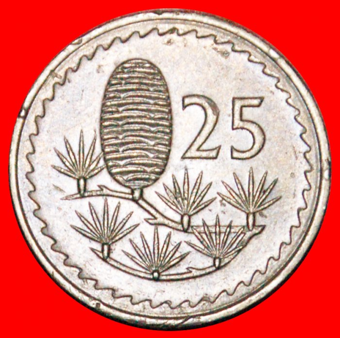  • CEDAR of LEBANON: CYPRUS ★ 25 MILS 1977!  LOW START ★ NO RESERVE!   