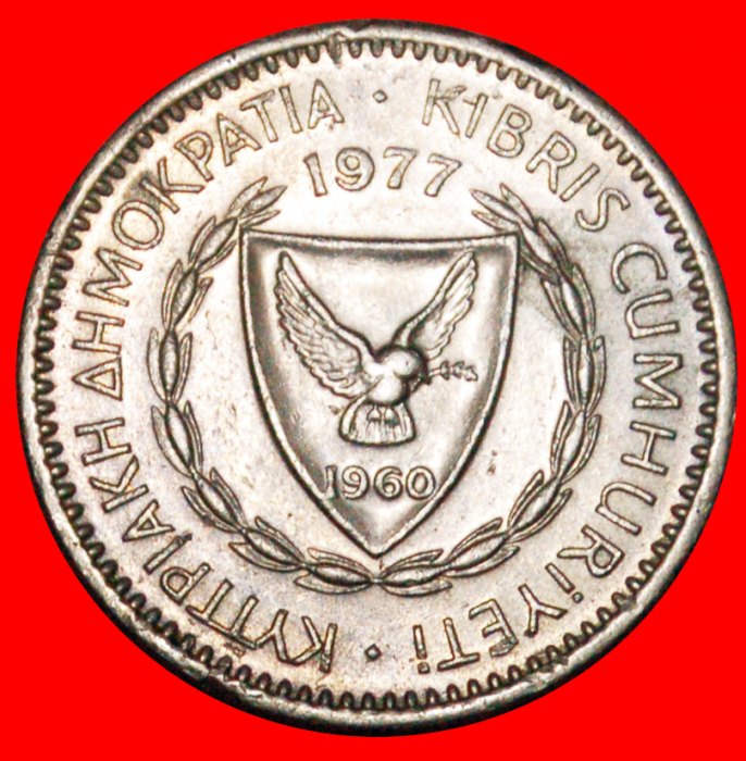  • CEDAR of LEBANON: CYPRUS ★ 25 MILS 1977!  LOW START ★ NO RESERVE!   