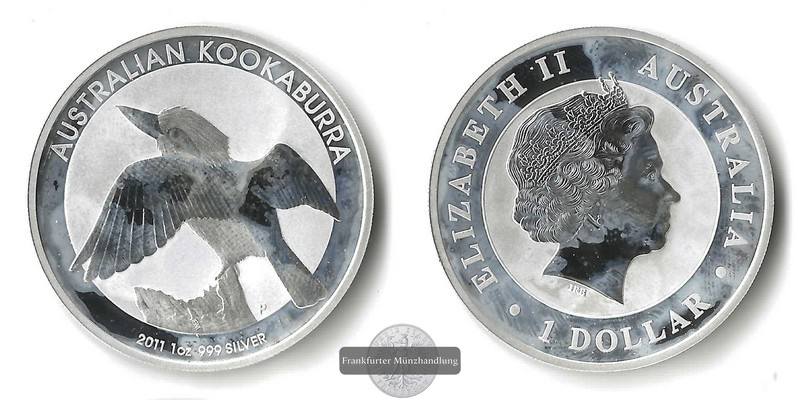  Australien,  1 Dollar Kookaburra 2011  FM-Frankfurt  Feinsilber: 31,1g   