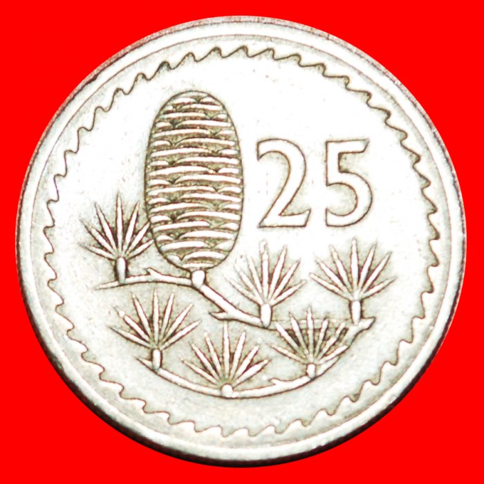  • CEDAR of LEBANON: CYPRUS ★ 25 MILS 1963!  LOW START ★ NO RESERVE!   