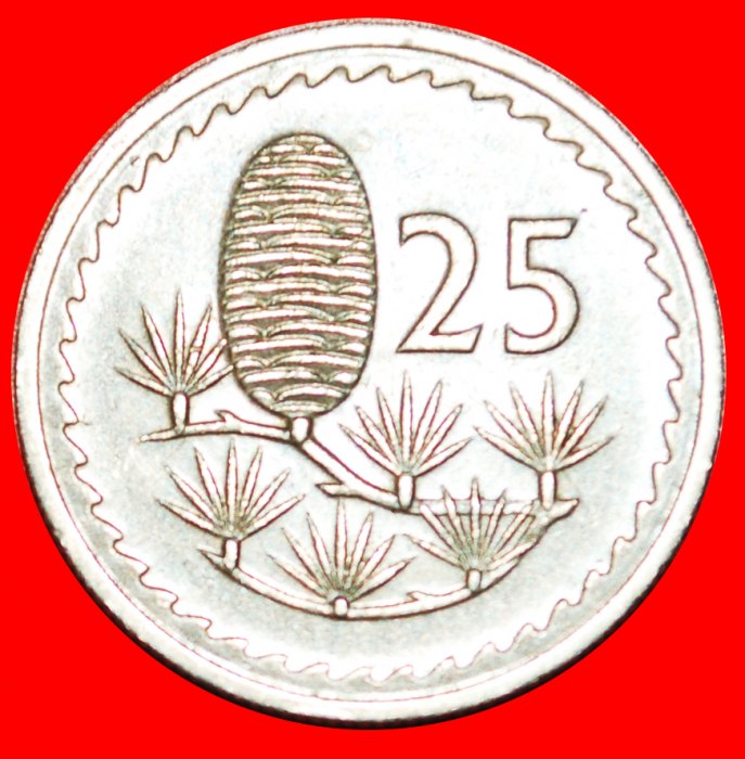  • CEDAR of LEBANON: CYPRUS ★ 25 MILS 1976!  LOW START ★ NO RESERVE!   