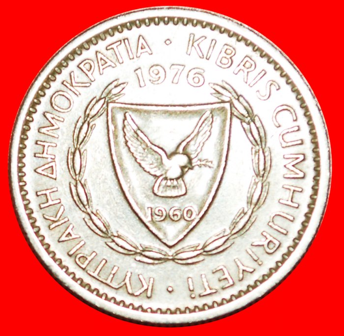  • ZEDER VON LIBANON: ZYPERN ★ 25 MILS 1976! OHNE VORBEHALT!   