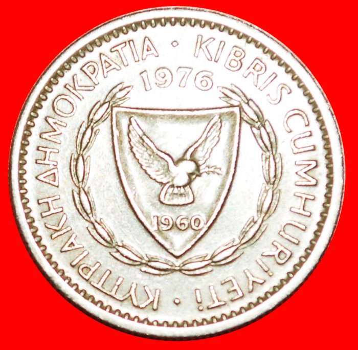  • CEDAR of LEBANON: CYPRUS ★ 25 MILS 1976!  LOW START ★ NO RESERVE!   