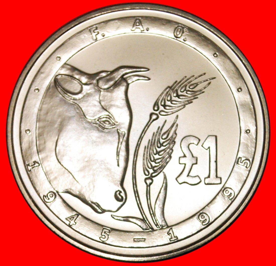  • FAO 1945 BULL: CYPRUS ★ 1 POUND 1995 UNCOMMON! MINT LUSTER!  LOW START ★ NO RESERVE!   