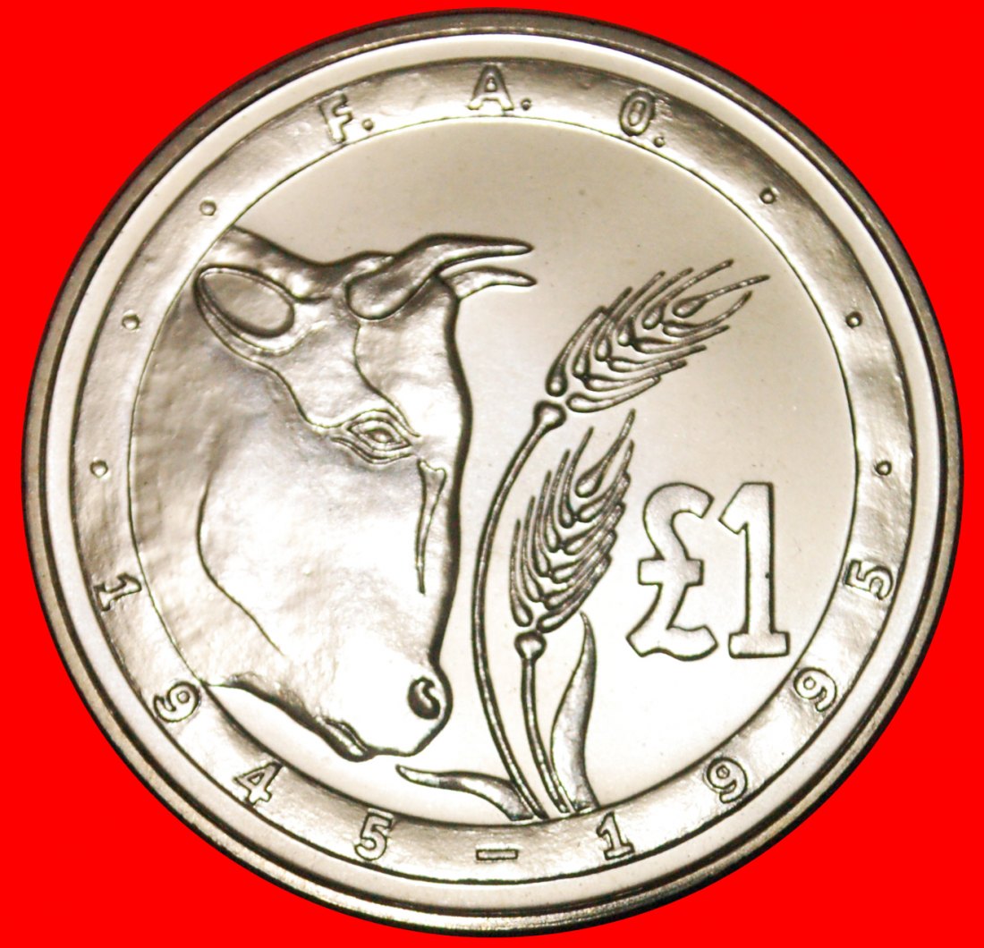 • FAO 1945 BULL: CYPRUS ★ 1 POUND 1995 UNCOMMON! MINT LUSTER! LOW START ★ NO RESERVE!