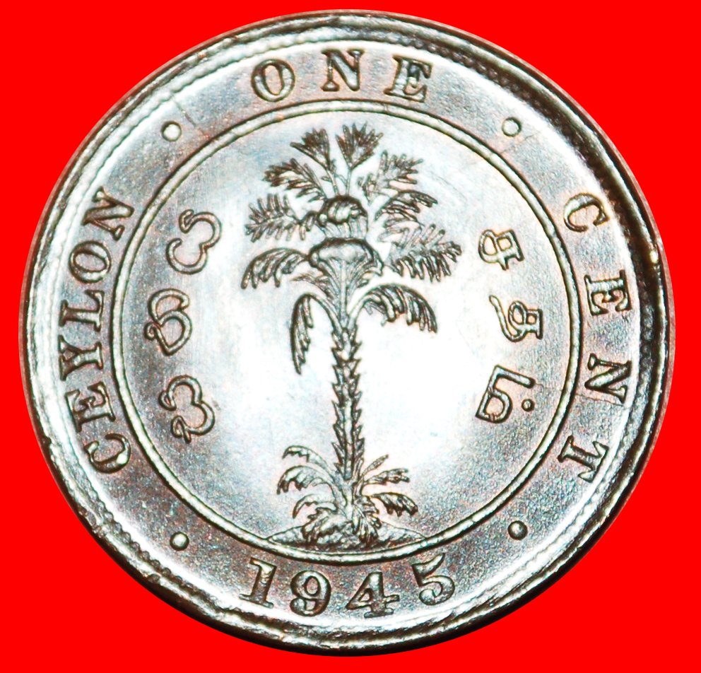  • PALM TREE (1942-1945): CEYLON ★ 1 CENT 1945 UNC! GEORGE VI (1937-1952)! LOW START ★ NO RESERVE!   