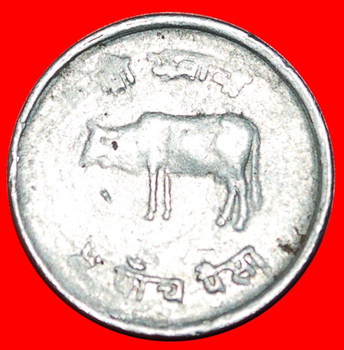 Ⰶ COW (1971-1982): NEPAL ★ 5 PAISA 2038 (1981) ERROR!★ LOW START ★ NO RESERVE!