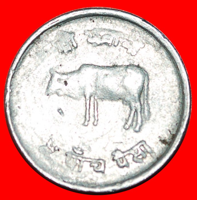  • COW (1971-1982): NEPAL ★ 5 PAISA 2038 (1981) ERROR!★ LOW START ★ NO RESERVE!   