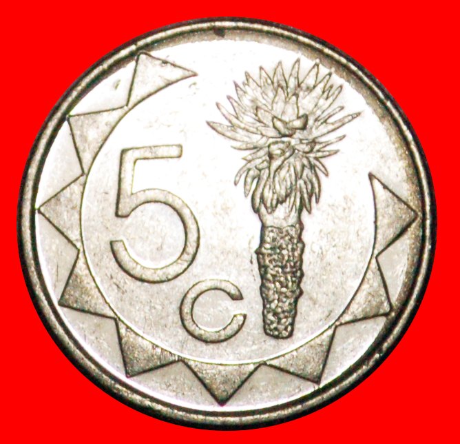  • SÜDAFRIKA  (1993-2015): NAMIBIA ★ 5 CENTS 1993! OHNE VORBEHALT!   