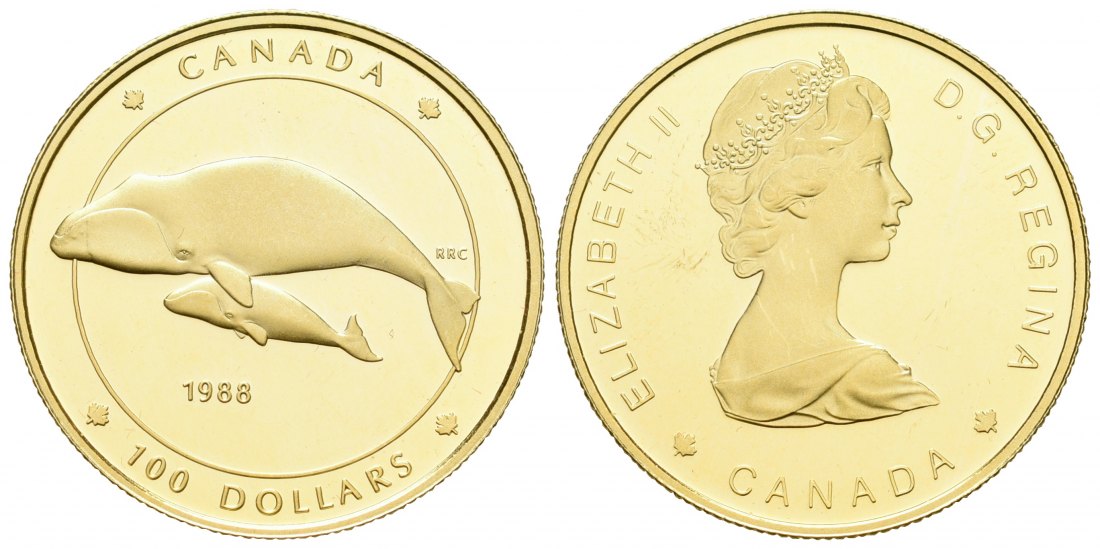 PEUS 5931 Kanada 7,78 g Feingold. Grönlandwale 100 Dollars / 1/4 Unze GOLD 1988 Impaired Proof / Fast Polierte Platte