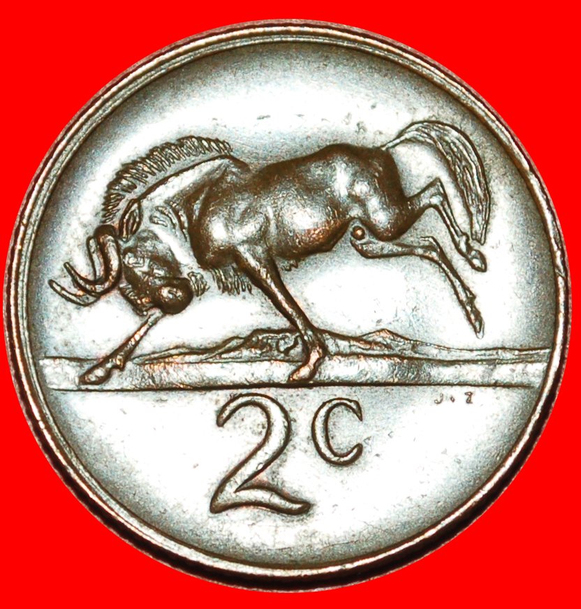  • WILDEBEEST: SOUTH AFRICA ★ 2 CENTS 1977! LOW START ★ NO RESERVE!   