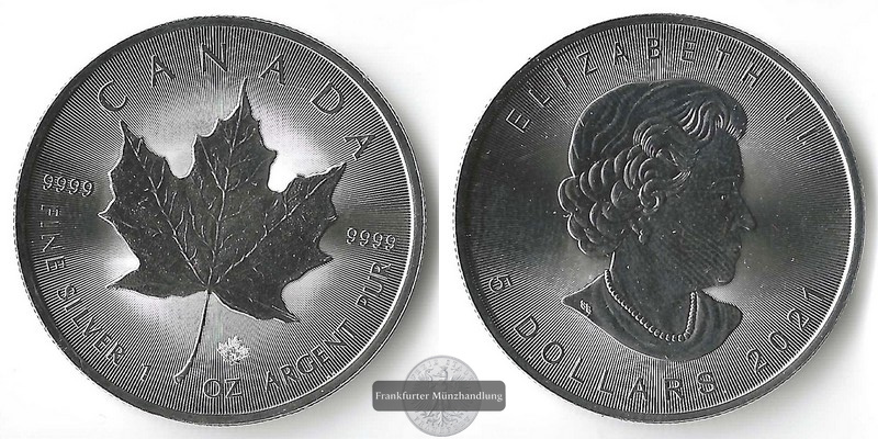  Kanada LOT 25 x 5 Dollar ver. Jgg. Maple Leaf   FM-Frankfurt   Feinsilber: 25 x 31,1g gesamt 777,58g   