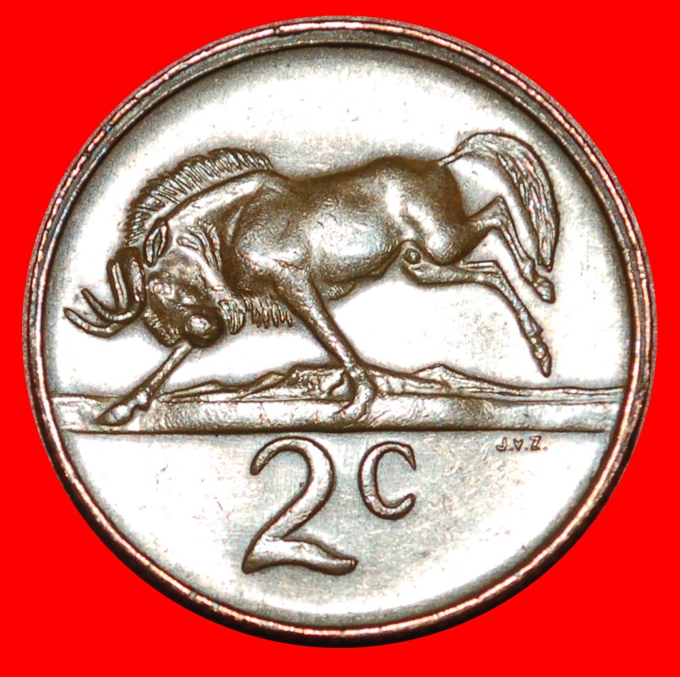  • WILDEBEEST: SOUTH AFRICA ★ 2 CENTS 1981! LOW START ★ NO RESERVE!   