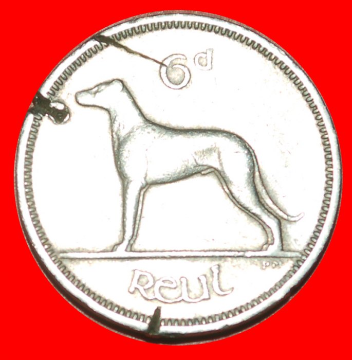  • IRISCHER WOLFSHUND: IRLAND ★ 6 PENCE 1959! OHNE VORBEHALT!   