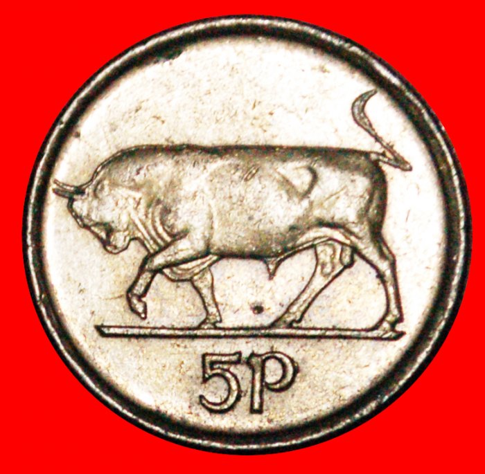  • BULL (1992-2000): IRELAND ★ 5 PENCE 1993 MINT LUSTER! LOW START★ NO RESERVE!   