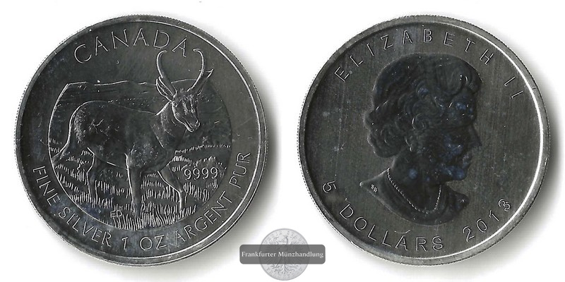  Kanada  5 Dollar  2013  Legendary Nature - Pronghorn Antelope  FM-Frankfurt   Feinsilber: 31,1g   