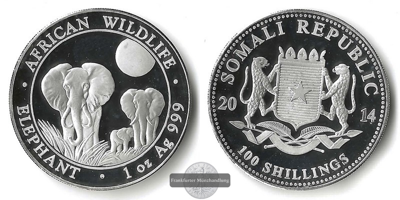  Somalia  100 Schilling  2014 Elephants    FM-Frankfurt  Feinsilber: 31,1g   