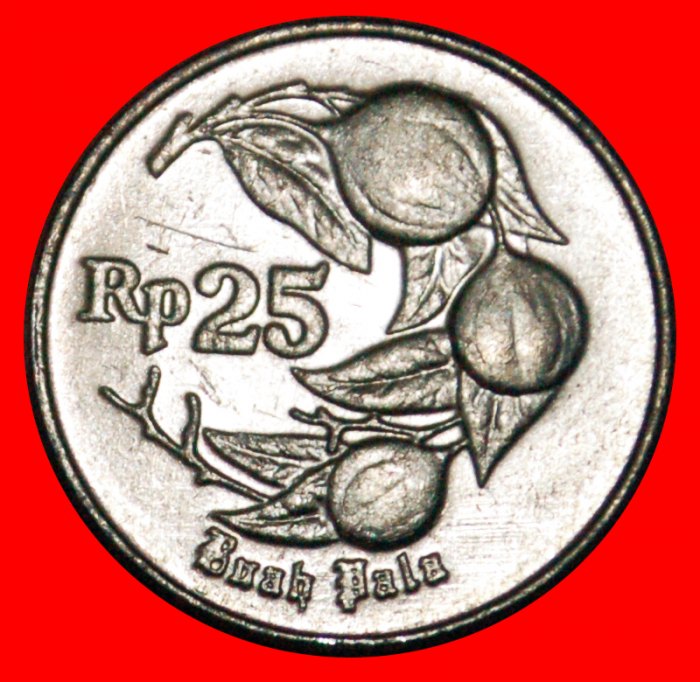 • NUTMEG (1991-1996): INDONESIA ★ 25 RUPIAH 1994 MINT LUSTRE! LOW START ★ NO RESERVE!