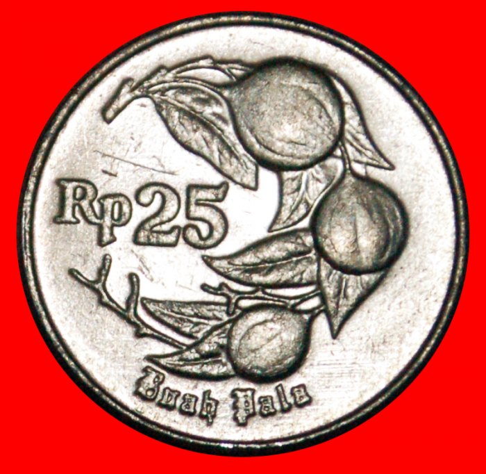  • MUSKAT (1991-1996): INDONESIEN ★ 25 RUPIAH 1994 VZGL STEMPELGLANZ! OHNE VORBEHALT!   