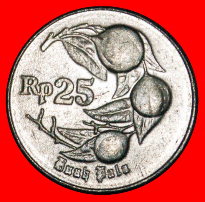  • NUTMEG (1991-1996): INDONESIA ★ 25 RUPIAH 1996 MINT LUSTRE! LOW START ★ NO RESERVE!   