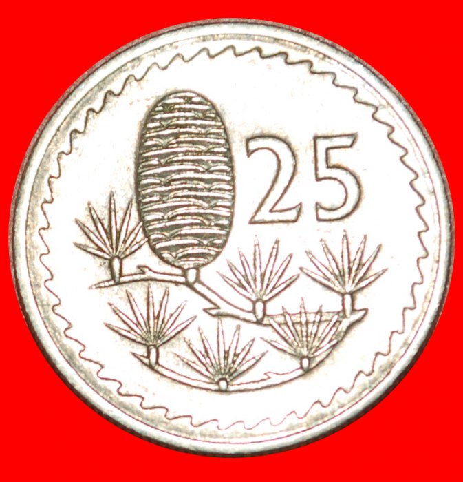  * CEDAR of LEBANON: CYPRUS ★ 25 MILS 1973!  LOW START ★ NO RESERVE!   