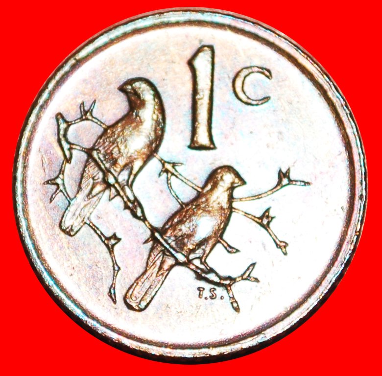  * SPARROWS: SOUTH AFRICA ★ 1 CENTS 1979 Diederichs (1903-1978)! LOW START ★ NO RESERVE!   